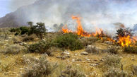 مهار آتش سوزی در 20 هکتار از مراتع بافت