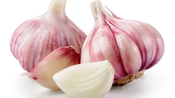 خواص سیر را شوخی نگیرید!