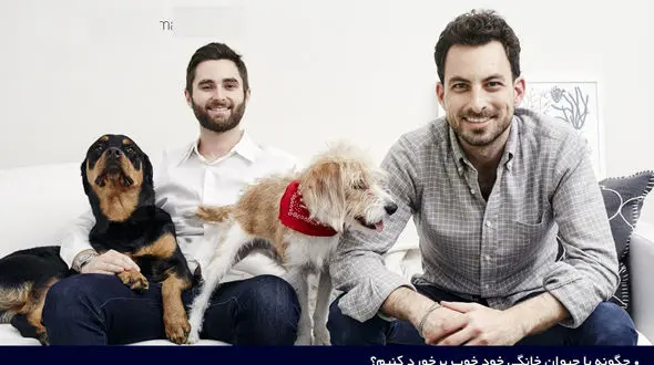 راهکارهای مهم برای برخورد مناسب با حیوان خانگی خود +تصاویر