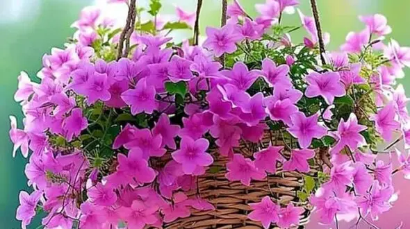 فال و طالع بینی روزانه 16 خرداد + فیلم