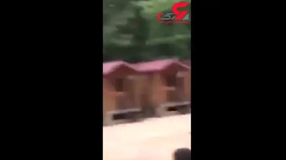 هیجان مرد جوان برای شیرجه روی سنگ فرش + فیلم