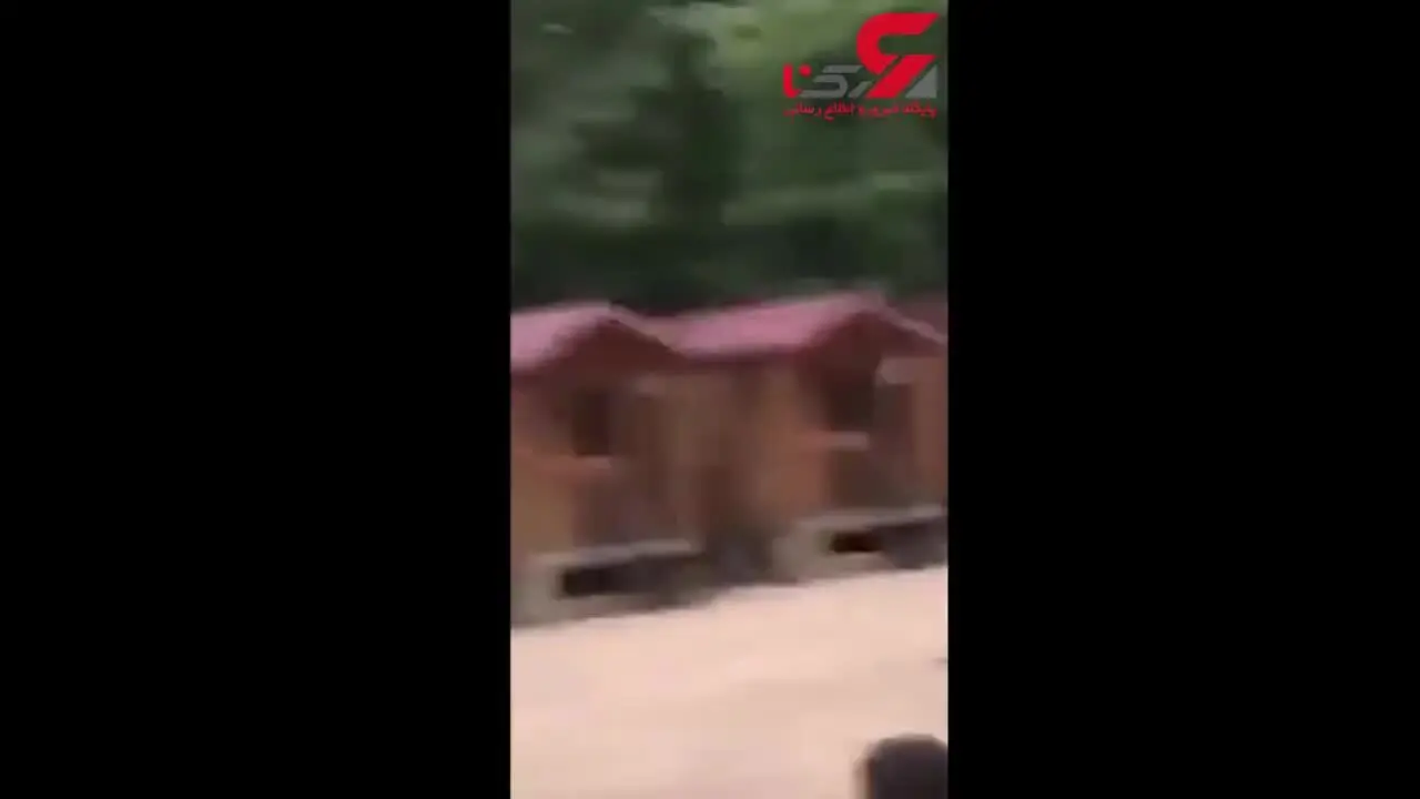 هیجان مرد جوان برای شیرجه روی سنگ فرش + فیلم