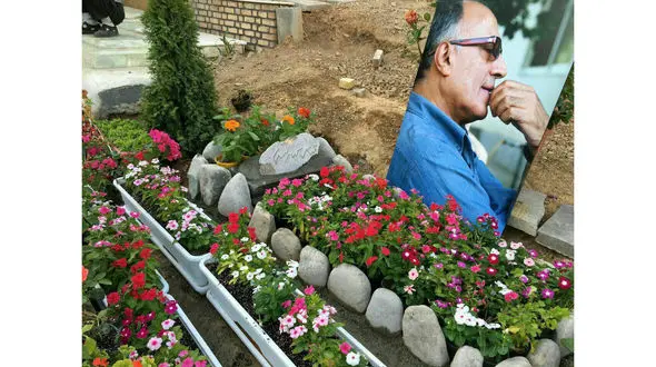  به نهال گیلاس کیارستمی هم رحم نکردند 