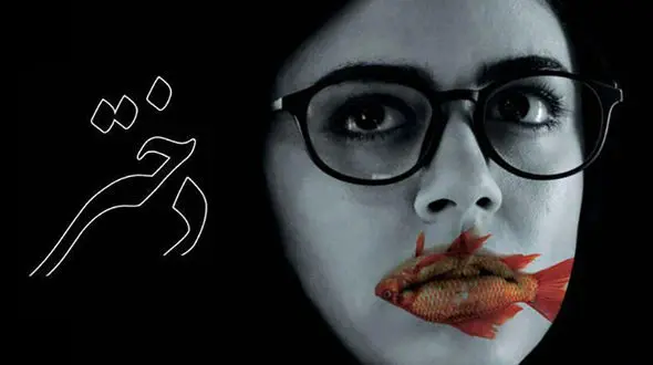 موفقیت دختر میرکریمی در بلژیک +فیلم