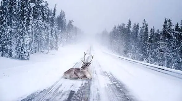 سحرآمیزترین جای زمین در کریسمس
