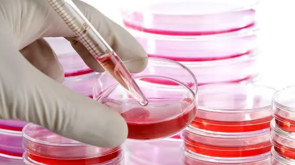 درمان دیابت با سلول های بنیادی