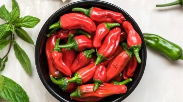 قوی ترین داروی لاغری!