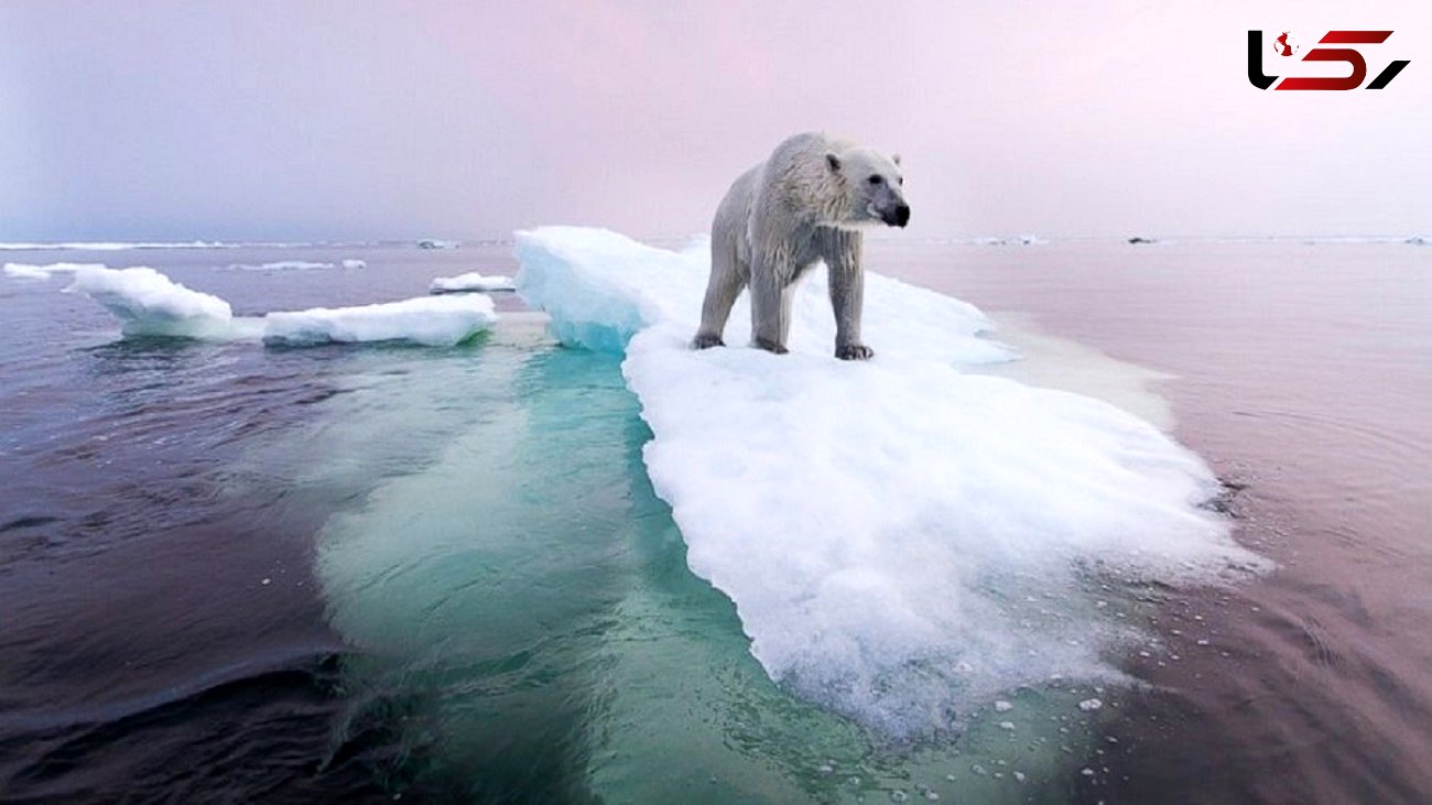 یخچال های طبیعی بزرگ جهان تا ۲۰۵۰ ناپدید می شود 