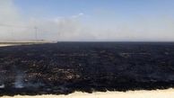 آتش سوزی در مزارع شیبکوه فسا