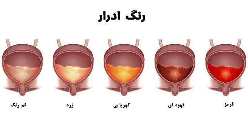 رنگ ادرار