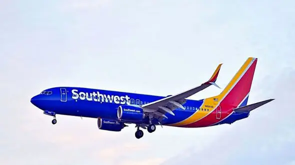 قلب پیوندی در هواپیما جا مانده بود ! / خلبان مسافران را شوکه کرد   