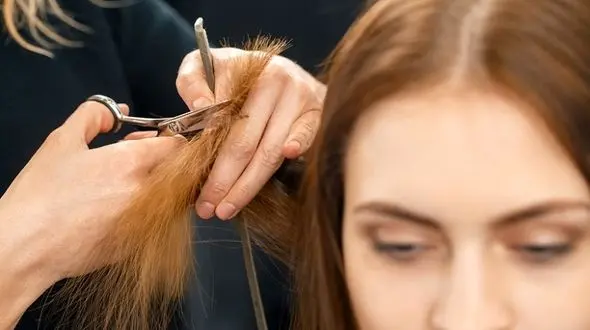 درمان موخوره با ارزان ترین ترفندها