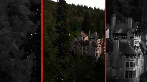 فیلم بلندترین درخت کریسمس جهان در بریتانیا