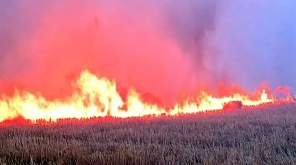 فیلم وحشتناک از سوختن تپه ۷ هزار ساله پوستچی شیراز 