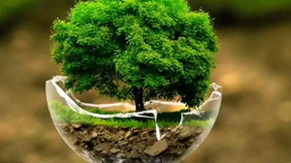 هتل گرمسیری دیدنی در تایلند