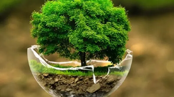 هتل گرمسیری دیدنی در تایلند