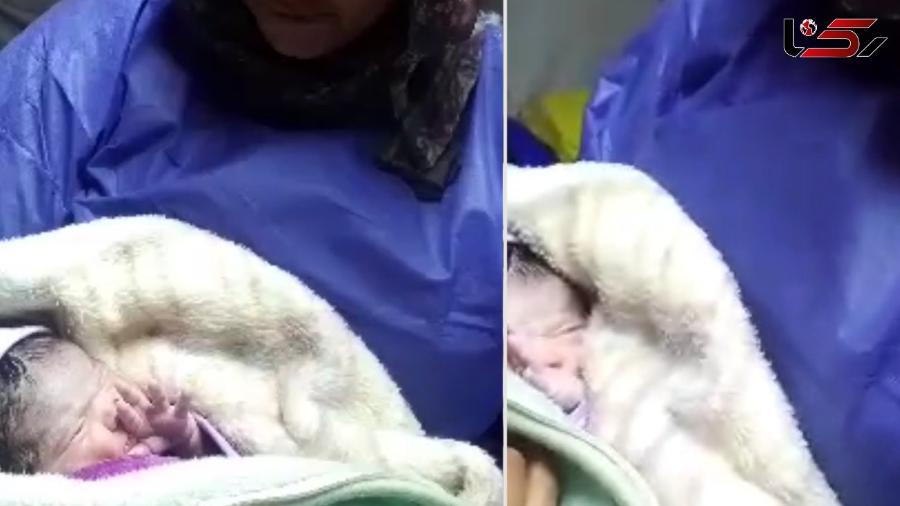 تولد یک نوزاد در بیمارستان صحرایی سرپل ذهاب + فیلم و عکس