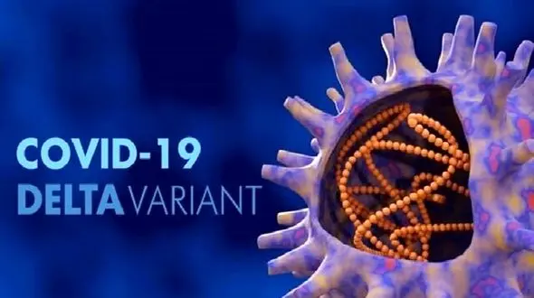 کرونای هندی عامل 99 درصد موارد ابتلا به کووید در 60 روز گذشته در جهان