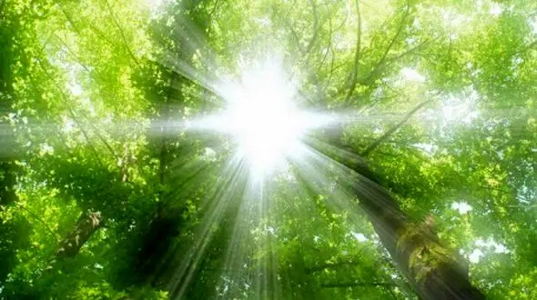 نور خورشید؛ راز شادی و انرژی بیشتر برای مغز و روح