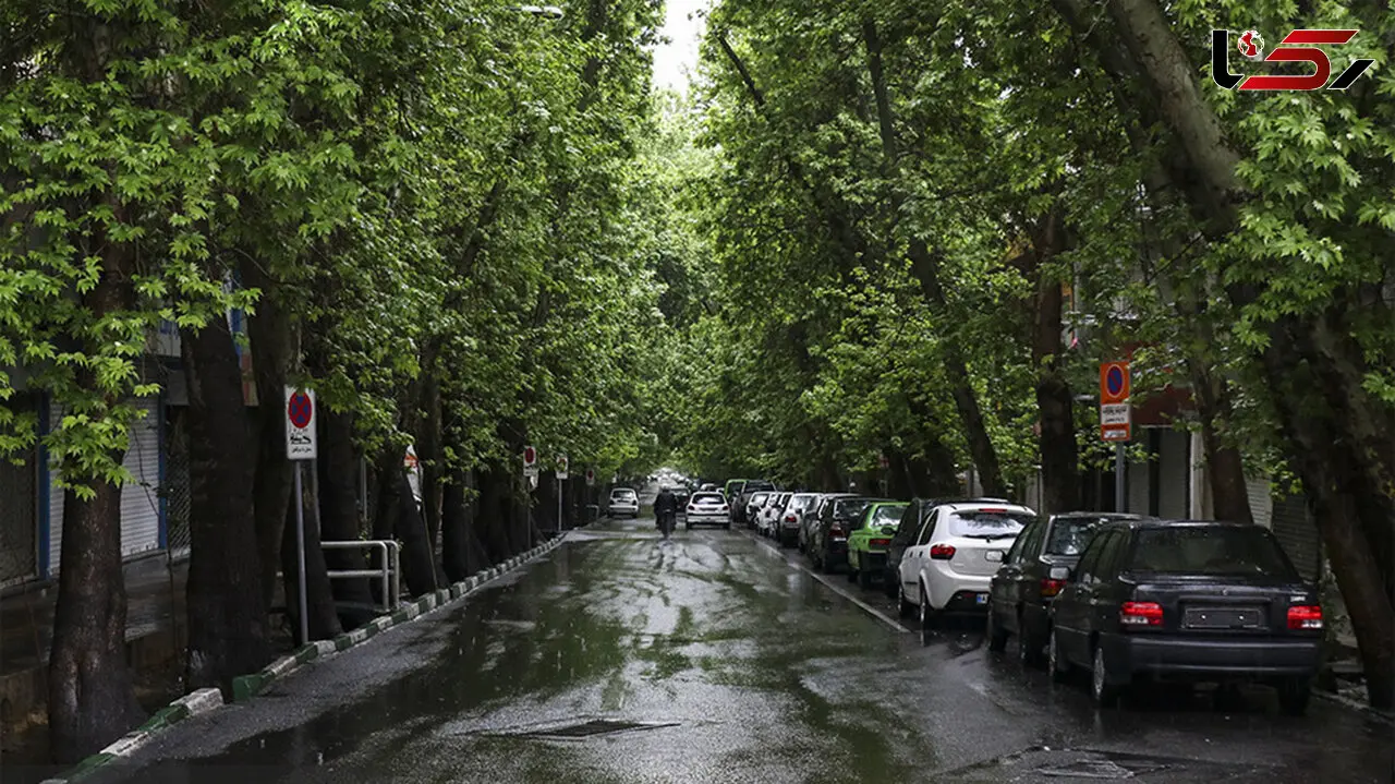 هوای بارانی تهران سالم است