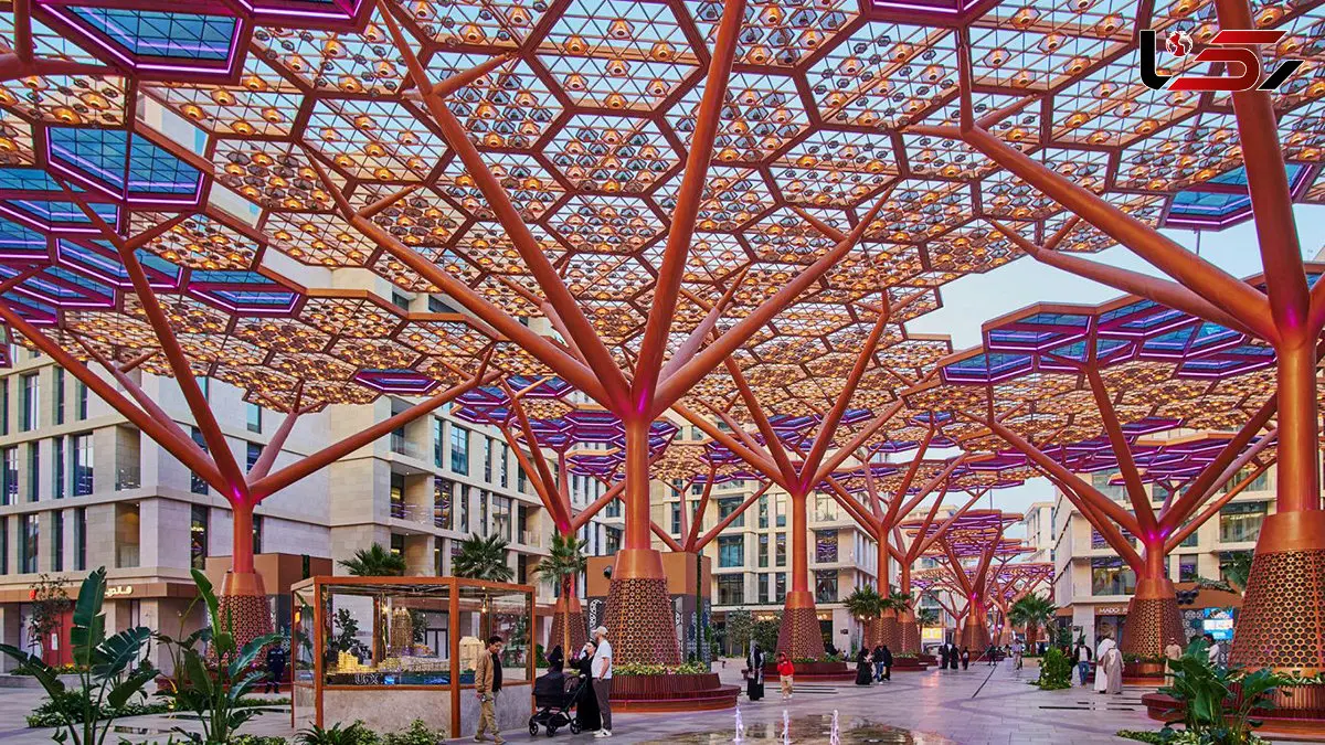 وقتی طبیعت کولر می‌ شود؛ جزیره‌ ای جنگلی برای فرار از گرمای طاقت‌ فرسا