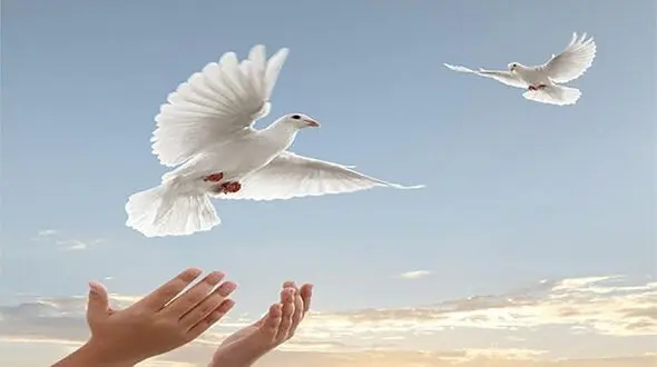 آزادی 8 زندانی در شهرستان مرند به مناسبت 22 بهمن