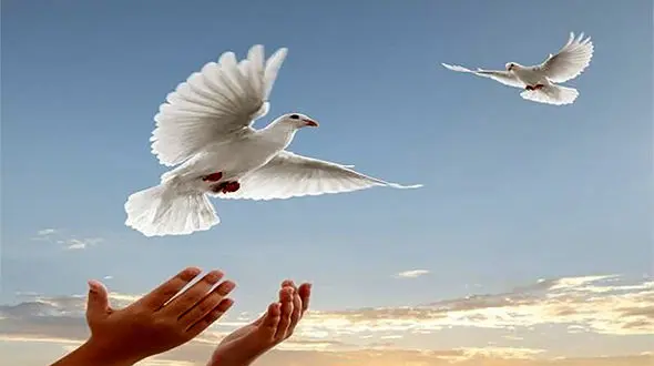 آزادی ۴ ایرانی زندانی در قطر + جزییات