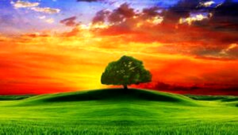 رنگ در عکاسی طبیعت