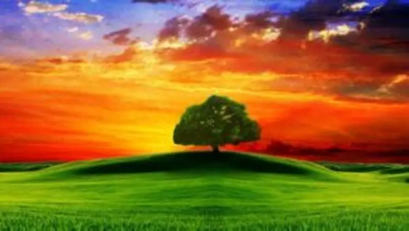 رنگ در عکاسی طبیعت
