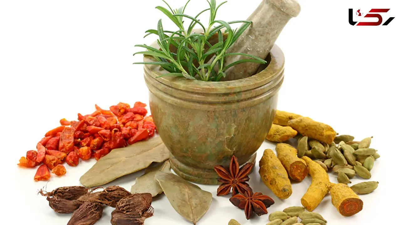 با این گیاهان راحت می خوابید