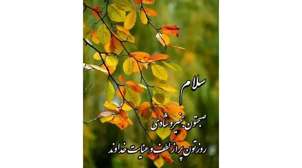 فال ابجد 16 دی