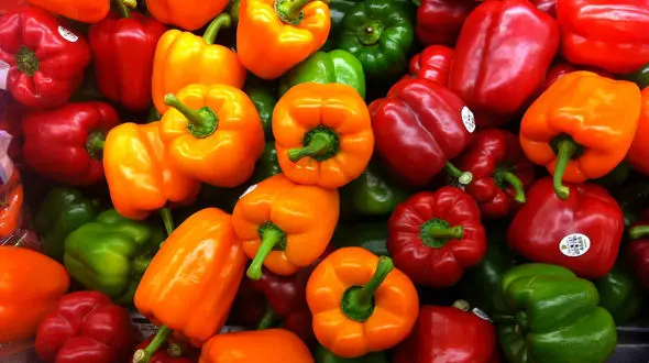 بلاتکلیفی بیش از 100 تن فلفل ایران پس از برگشت از روسیه