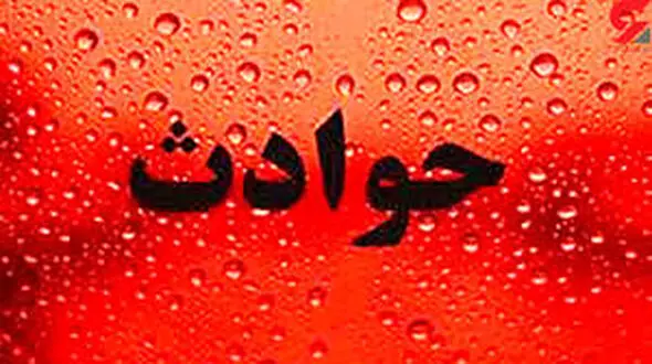 شبی پر  حادثه در رشت / درختان روی خودروها سقوط کردند + عکس 
