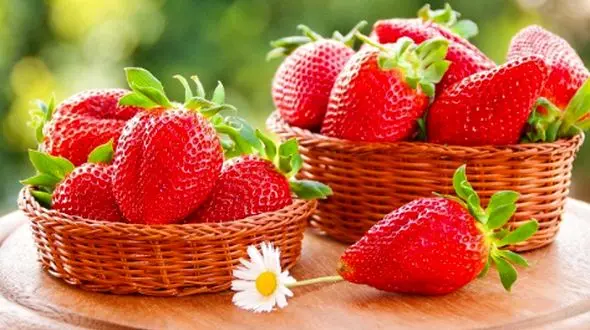 چرا باید هر روز چند فنجان توت فرنگی بخورید؟