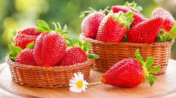 چرا باید هر روز چند فنجان توت فرنگی بخورید؟