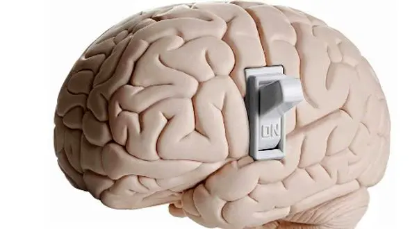 کشف مهم در مغز: راهی برای درمان بیماری‌ های مختلف