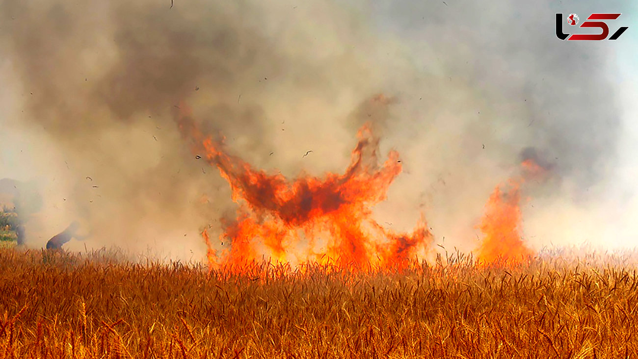 شعله های آتش در مزارع مهران