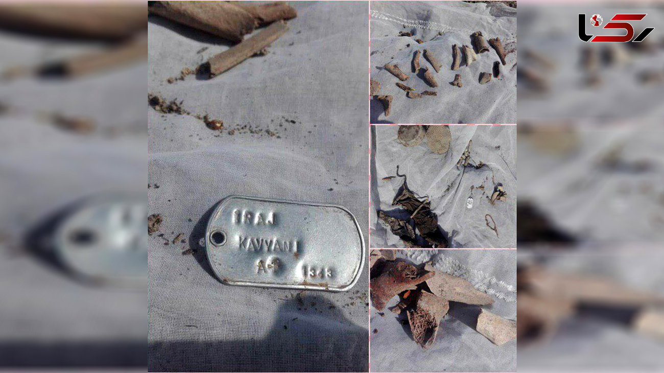 راز پلاک و استخوان های کشف شده در منطقه شطیط آبادان فاش شد / استخوان ها متعلق به انسان نیست!