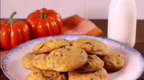 تنبل ترین کوکوی دنیا+فیلم