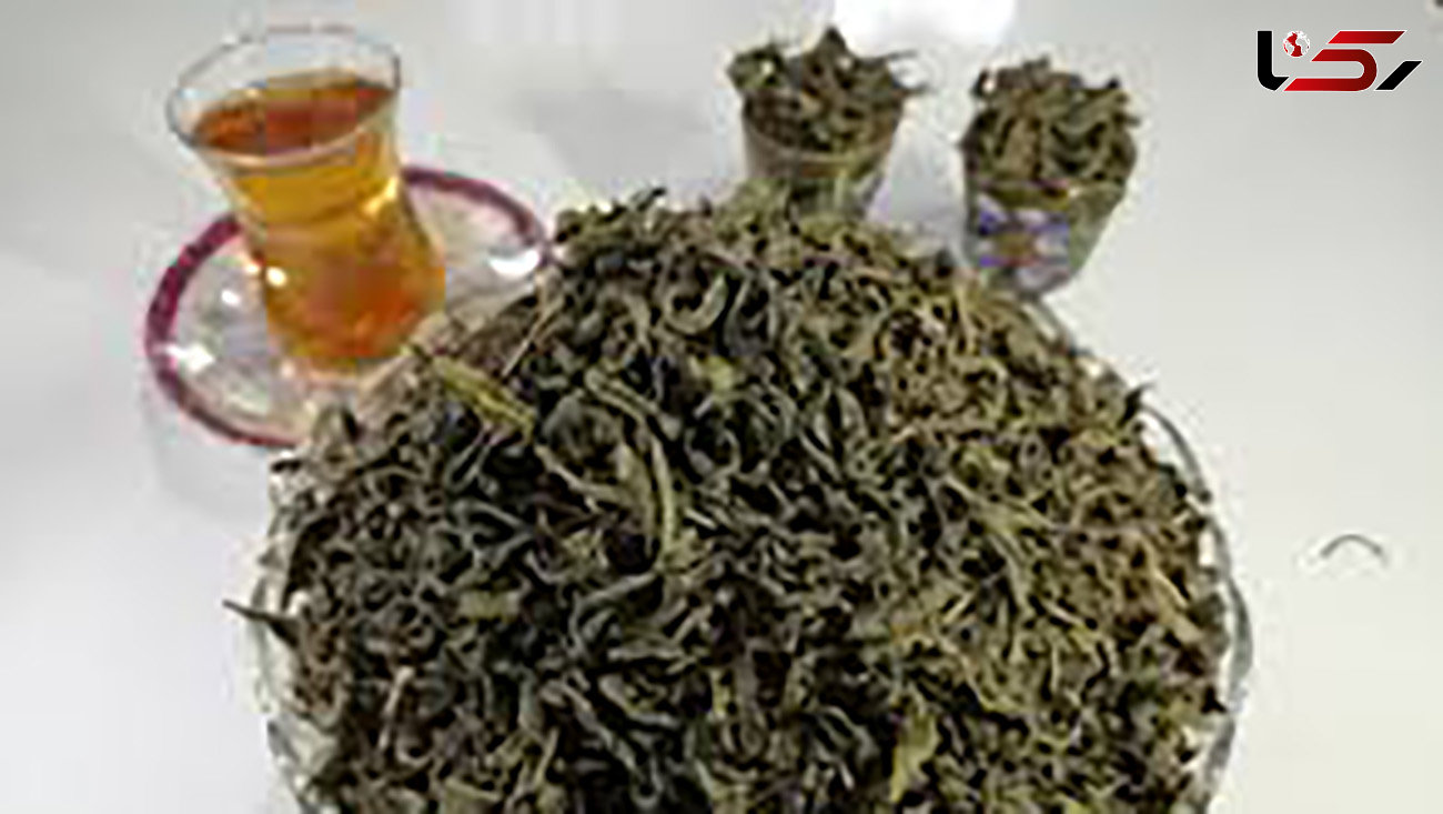 چای سبز طبیعی ترین داروی ضد سرطان 