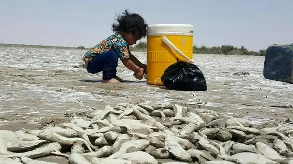 برای جلوگیری از فاجعه اقلیمی کمتر از سه سال فرصت داریم / ناچاریم در سیاست‌های کلان کشور تغییرات ایجاد کنیم 