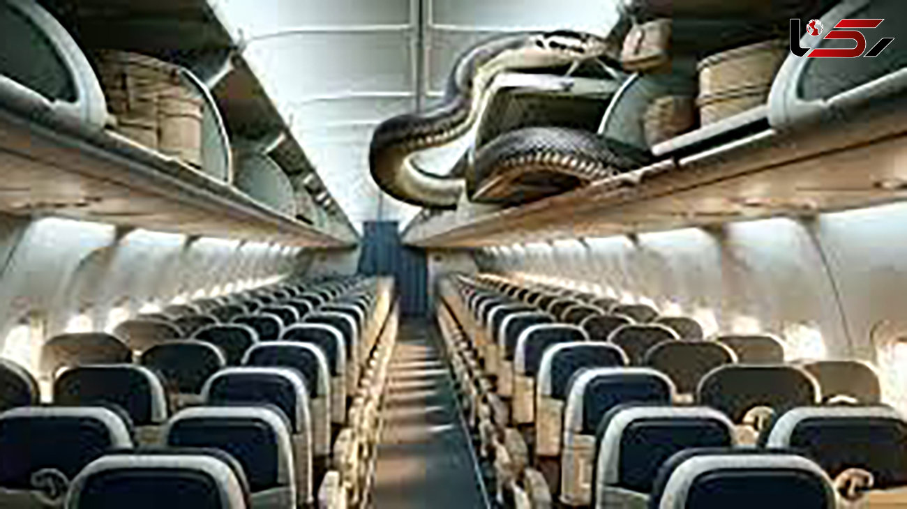 شوک مسافران در پرواز پوکت / مهماندار خیلی حرفه ای آرامش را برگرداند
