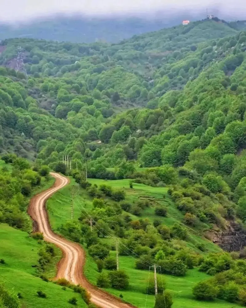 داماش