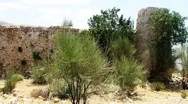 عجیب اما واقعی / راز کلبه وحشت انزلی چیست؟! / از ماجرای 3 دختر و سرنوشت تاسفبارشان تا  4 دانشجو  در سال 65 / مطلب مخصوص بزرگسالان + عکس ها