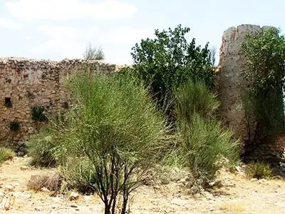 عجیب اما واقعی / راز کلبه وحشت انزلی چیست؟! / از ماجرای 3 دختر و سرنوشت تاسفبارشان تا  4 دانشجو  در سال 65 / مطلب مخصوص بزرگسالان + عکس ها