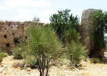 عجیب اما واقعی / راز کلبه وحشت انزلی چیست؟! / از ماجرای 3 دختر و سرنوشت تاسفبارشان تا  4 دانشجو  در سال 65 / مطلب مخصوص بزرگسالان + عکس ها