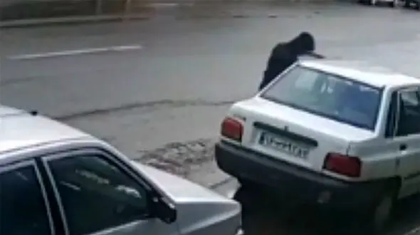 فیلم لحظه سرقت سه سوته پراید در زنجان 