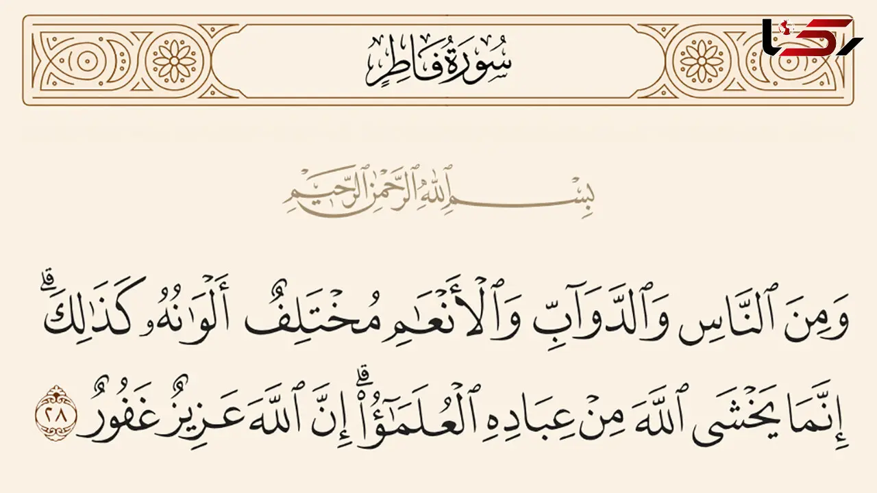 عالمان واقعی چه خصوصیاتی دارند