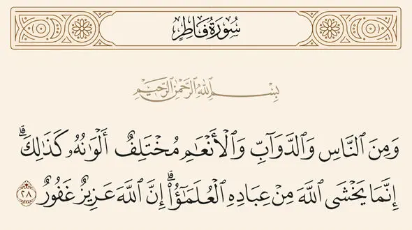 عالمان واقعی چه خصوصیاتی دارند