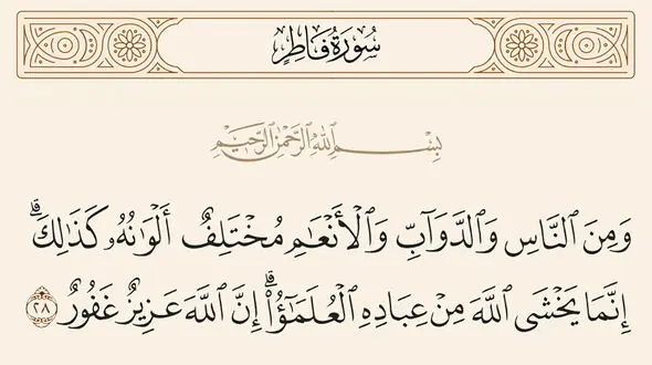 عالمان واقعی چه خصوصیاتی دارند